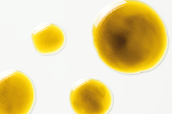 Anche gli animali hanno un sistema endocannabinoide Anche gli animali hanno un sistema endocannabinoide