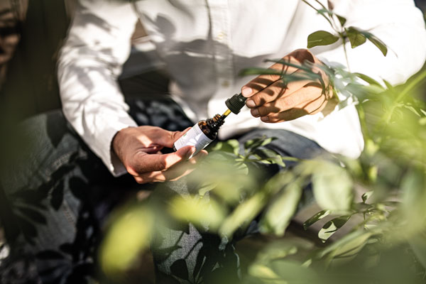 Raccomandazione d'uso dell'olio di CBD Raccomandazione d'uso dell'olio di CBD