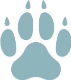 Olio di CBD per cani Olio di CBD per cani