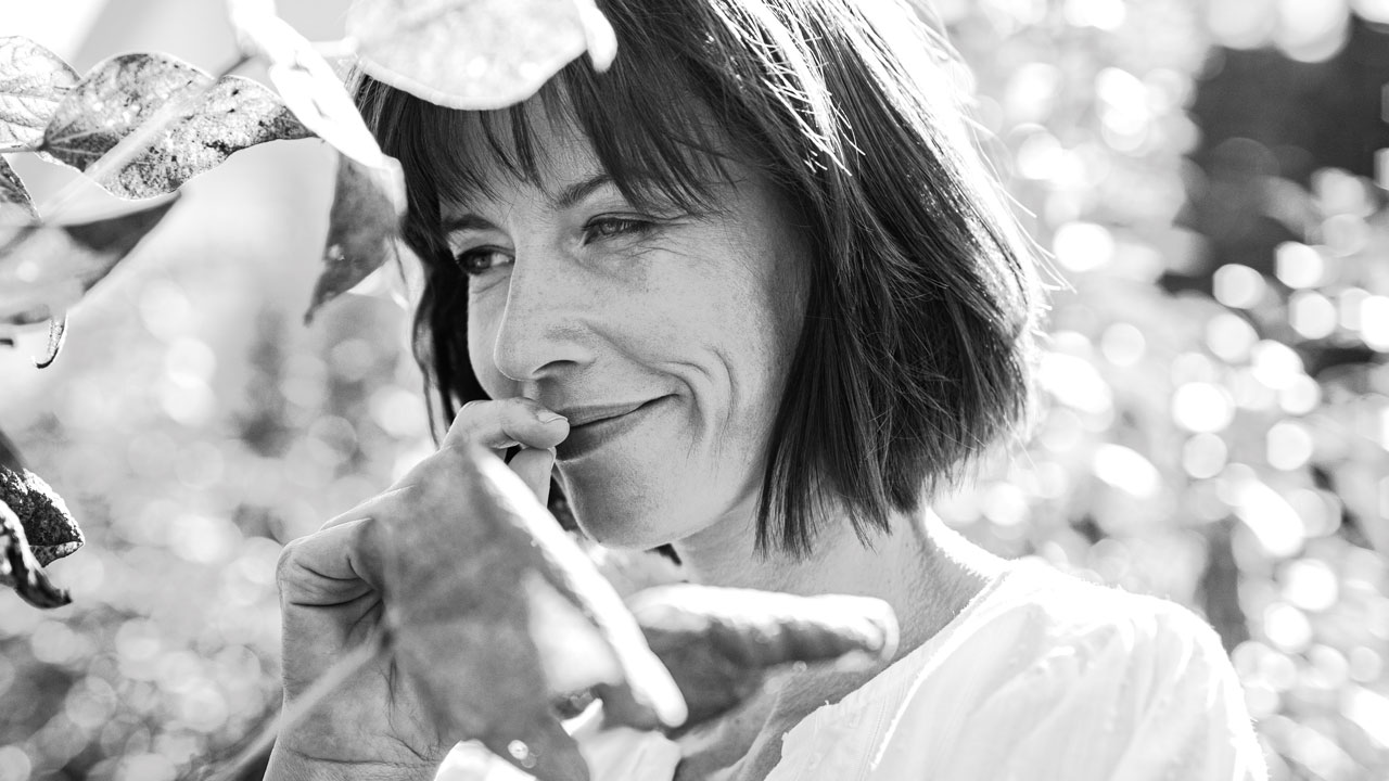 Curcumina con vitamina E, D3 e CBD attivato Curcumina con vitamina E, D3 e CBD attivato