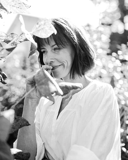 Senza falvonoidi e terpeni - solo CBD Senza falvonoidi e terpeni - solo CBD