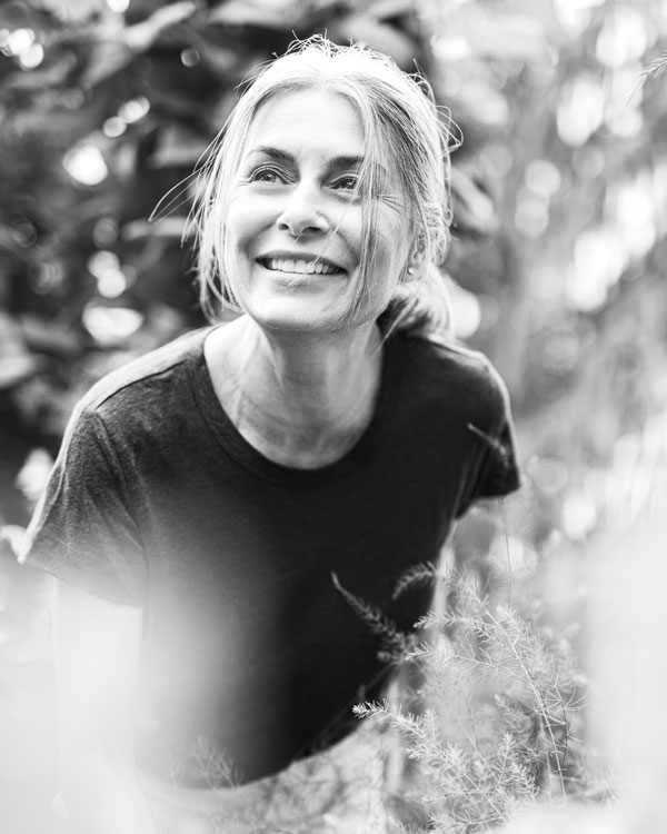 Potere puro della pianta di CBD Potere puro della pianta di CBD